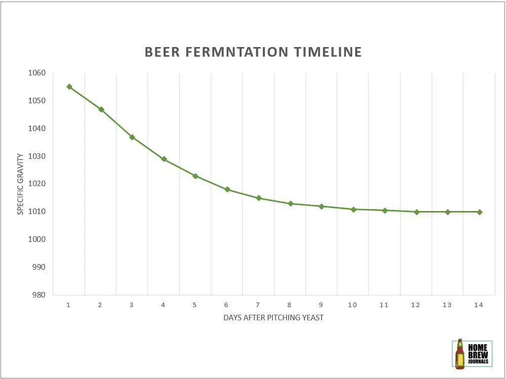Beer fermentation timeline. Graph of specific gravity against days